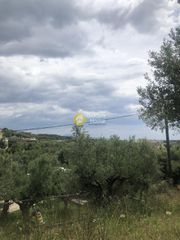 Οικόπεδο 1.000 τ.μ. για πώληση, Μεσσηνία, Καλαμάτα-thumb-3
