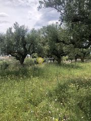 Οικόπεδο 1.000 τ.μ. για πώληση, Μεσσηνία, Καλαμάτα-thumb-10