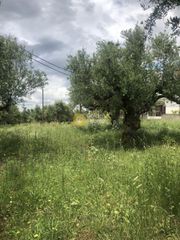Οικόπεδο 1.000 τ.μ. για πώληση
