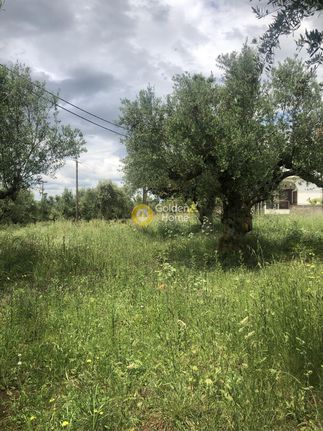 Οικόπεδο 1.000 τ.μ. για πώληση, Μεσσηνία, Καλαμάτα