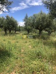 Οικόπεδο 1.000 τ.μ. για πώληση, Μεσσηνία, Καλαμάτα-thumb-5