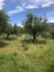 Οικόπεδο 1.000 τ.μ. για πώληση, Μεσσηνία, Καλαμάτα-thumb-4