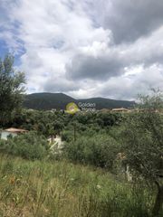 Οικόπεδο 1.000 τ.μ. για πώληση, Μεσσηνία, Καλαμάτα-thumb-7