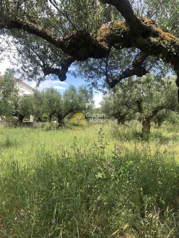 Οικόπεδο 1.000 τ.μ. προς πώληση, Μεσσηνία, Καλαμάτα
