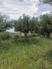 Οικόπεδο 1.000 τ.μ. για πώληση, Μεσσηνία, Καλαμάτα-thumb-9