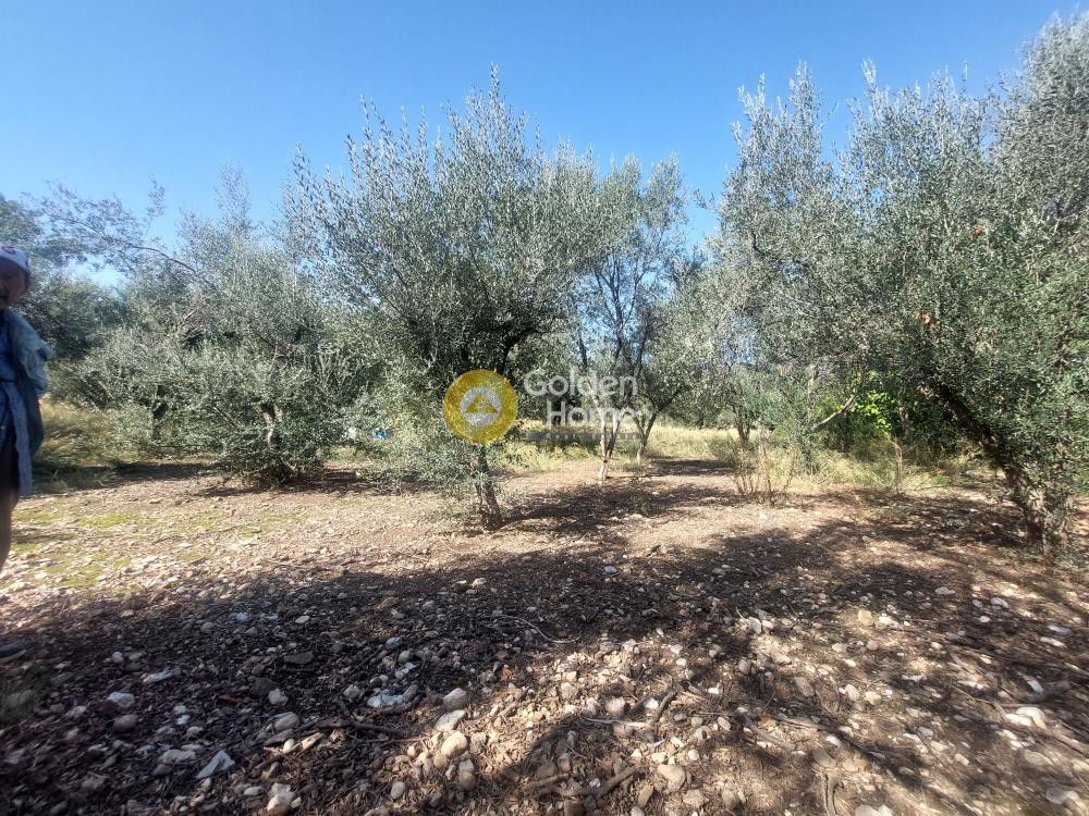 Οικόπεδο 1.770 τ.μ. προς πώληση, Ακταίο Ρίου
