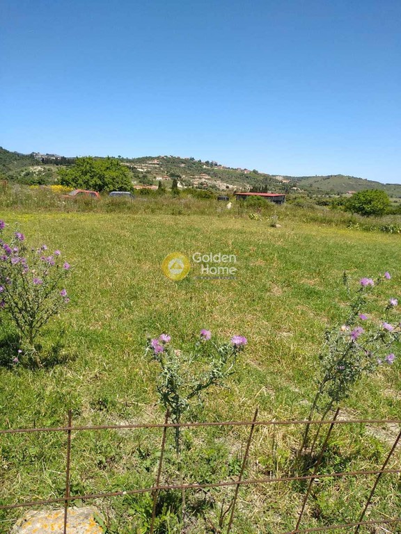 Οικόπεδο 652 τ.μ. προς πώληση, Ν. Κεφαλονιάς, Κεφαλονιά