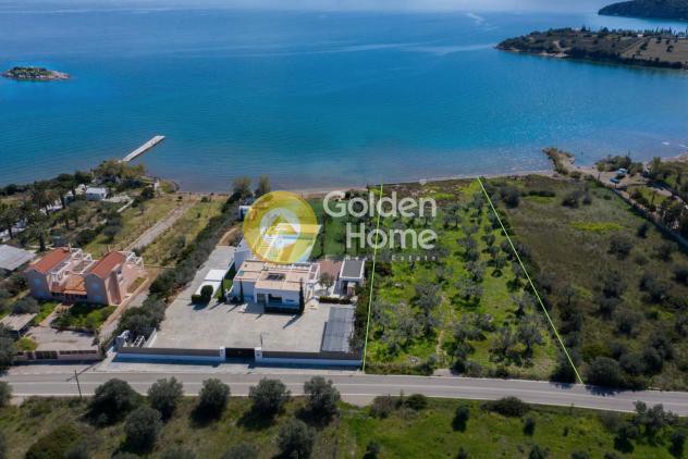 Αγροτεμάχια 3.284 τ.μ. προς πώληση, Αχλαδίτσα