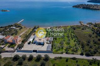 Αγροτεμάχια 3.284 τ.μ. για πώληση, Αργολίδα, Ερμιόνη-thumb-3