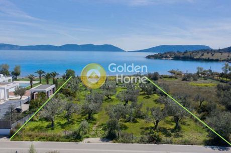 Αγροτεμάχια 3.284τ.μ. για πώληση-Ερμιόνη » Αχλαδίτσα