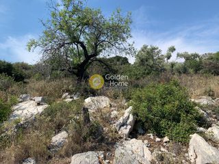 Αγροτεμάχια 20.666 τ.μ. για πώληση, Ν. Λευκάδας, Μεγανήσι-thumb-4