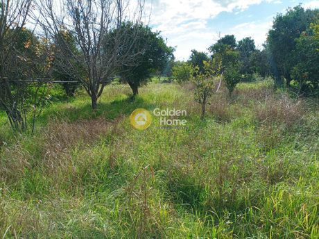 Land plot 8.750sqm for sale-Githeio » Agadeika