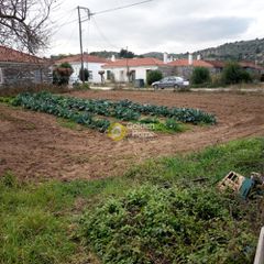 Οικόπεδο 480 τ.μ. για πώληση, Εύβοια, Αυλώνα-thumb-6