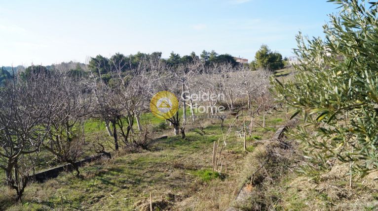 Detached home 400 sqm for sale, Rest Of Attica, Com. Kapandriti