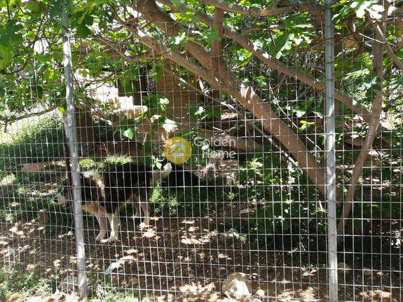 Οικόπεδο 519 τ.μ. για πώληση, Αττική - Υπόλοιπο, Καλύβια Θορικού