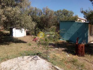 Αγροτεμάχια 394 τ.μ. για πώληση