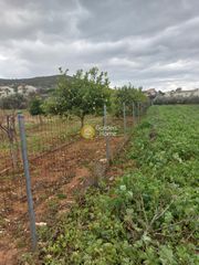 Αγροτεμάχια 2.000 τ.μ. για πώληση, Αττική - Υπόλοιπο, Κερατέα-thumb-1