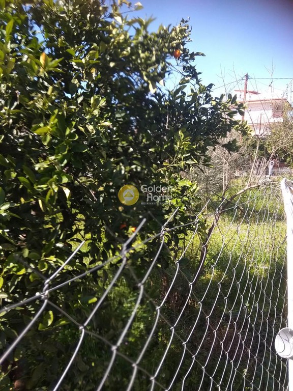 Μονοκατοικία 324 τ.μ. για πώληση, Εύβοια, Αιδηψός