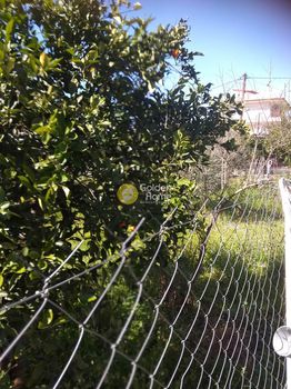 Μονοκατοικία 324τ.μ. για πώληση-Αιδηψός » Κέντρο