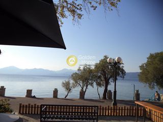 Διαμέρισμα 300 τ.μ. για πώληση, Αχαΐα, Ερίνεο-thumb-1