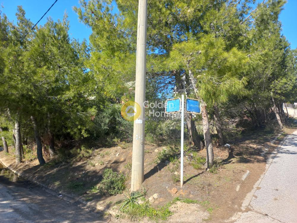Οικόπεδο 567 τ.μ. προς πώληση, Αττική - Υπόλοιπο, Πικέρμι