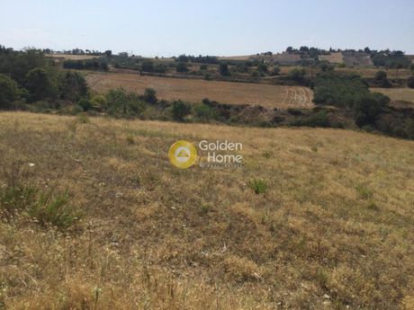 Αγροτεμάχια 4.500τ.μ. για πώληση-Θέρμη » Τρίλοφο