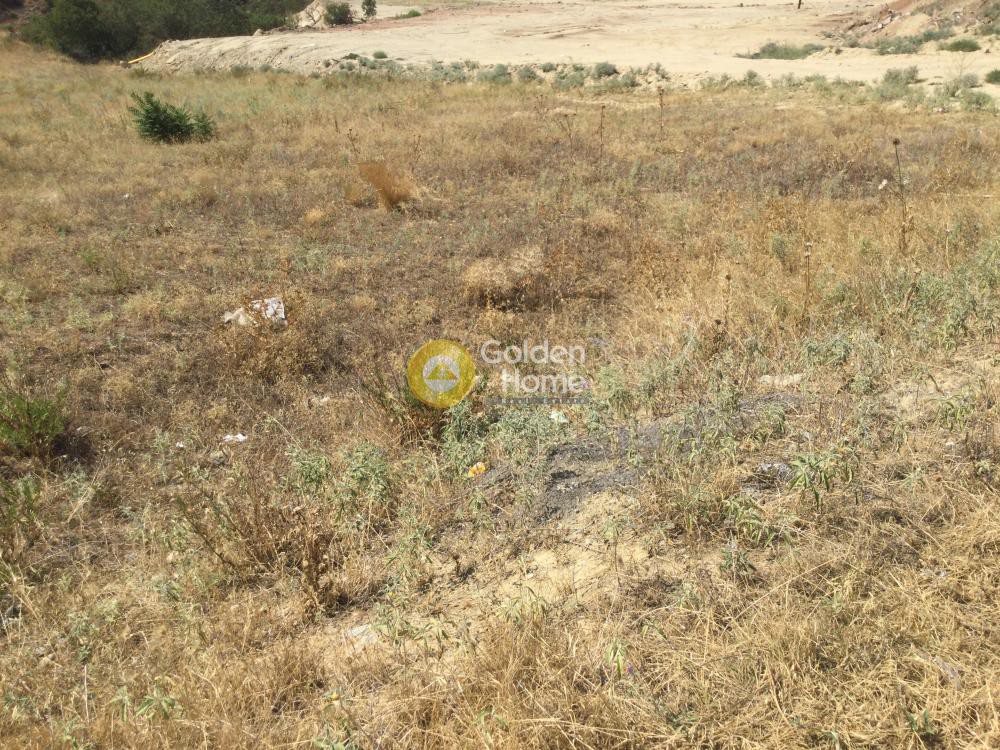 Αγροτεμάχια 4.500 τ.μ. προς πώληση, Τρίλοφο Θέρμης