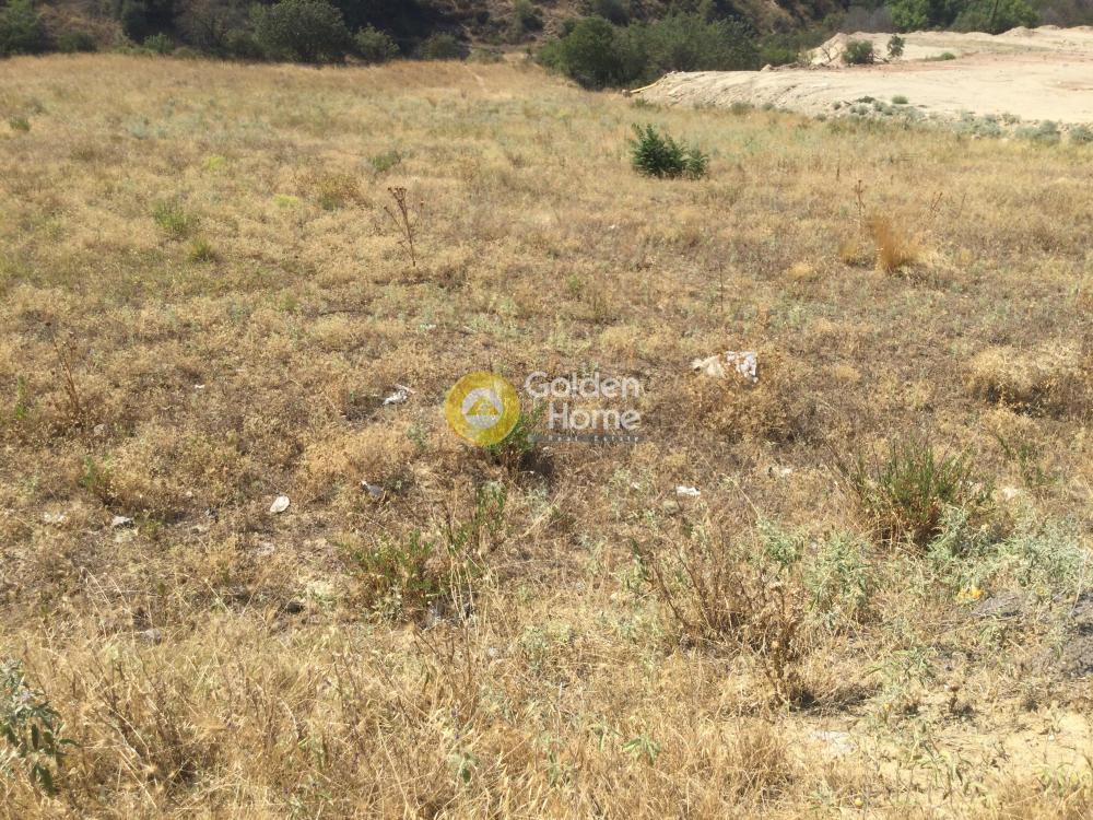Αγροτεμάχια 4.500 τ.μ. προς πώληση, Τρίλοφο Θέρμης