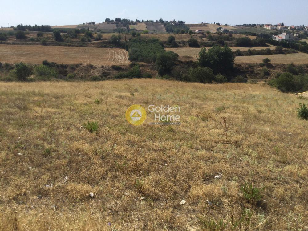 Αγροτεμάχια 4.500 τ.μ. προς πώληση, Τρίλοφο Θέρμης