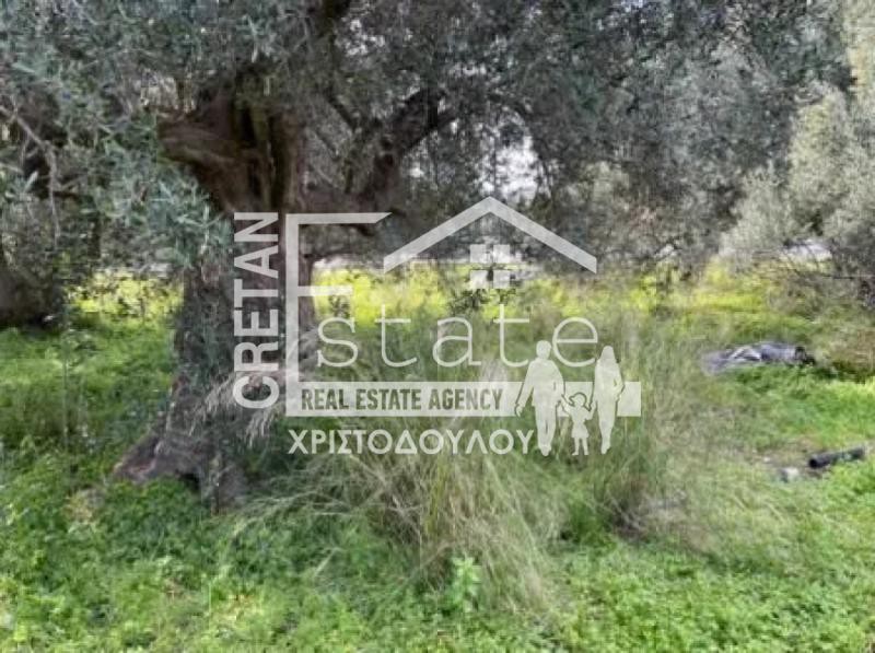 Αγροτεμάχια 1.169 τ.μ. προς πώληση, Κάτω Χωριό Ιεράπετρας