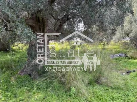 Αγροτεμάχια 1.169τ.μ. για πώληση-Ιεράπετρα » Κάτω χωριό