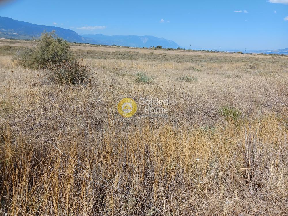 Αγροτεμάχια 12.000 τ.μ. προς πώληση, Άγιος Βλάσιος Χαιρώνειας