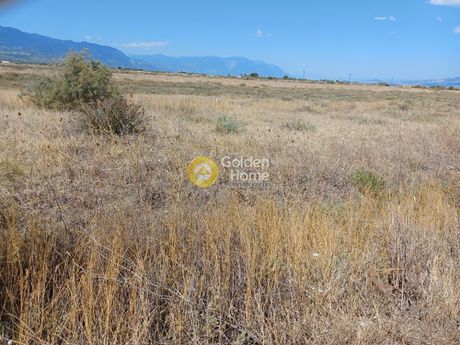 Parcel 12.000sqm for sale-Chaironeia » Agios Vlasios