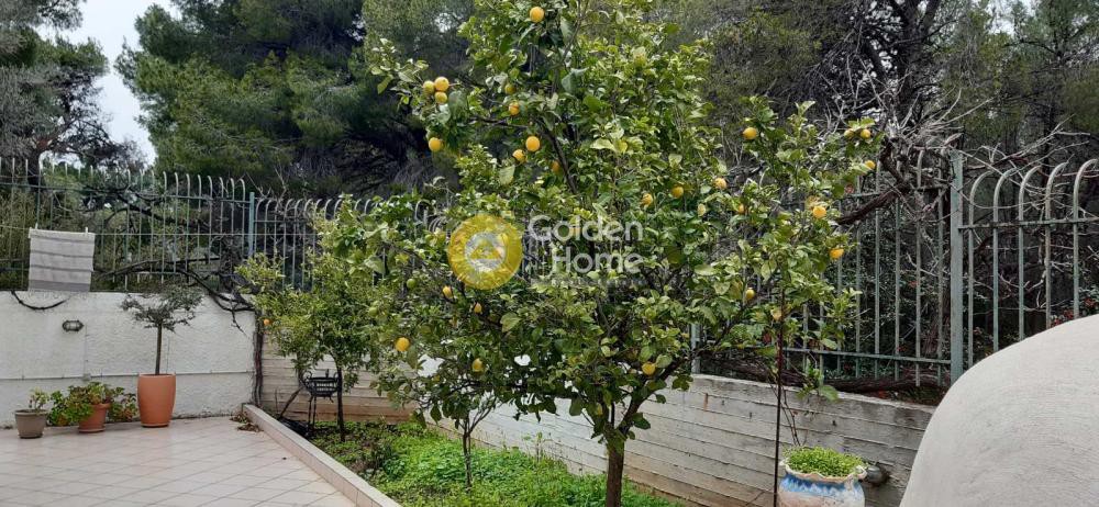 Μεζονέτα 330 τ.μ. προς πώληση, Άσπρο Λιθάρι