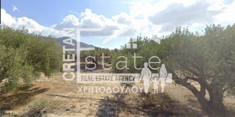 Οικόπεδο 4.025 τ.μ. πρός πώληση, Ν. Λασιθίου, Ιεράπετρα