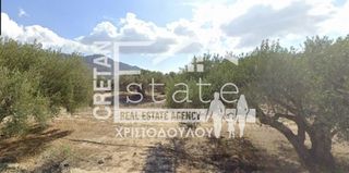 Οικόπεδο 4.025 τ.μ. για πώληση