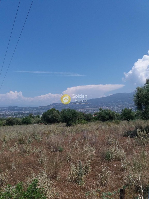 Οικόπεδο 1.500 τ.μ. προς πώληση, Αχαΐα, Μεσσατίδα