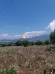Οικόπεδο 1.500 τ.μ. για πώληση, Αχαΐα, Μεσσατίδα-thumb-2