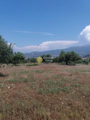 Οικόπεδο 1.500 τ.μ. για πώληση, Αχαΐα, Μεσσατίδα-thumb-6