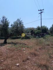 Οικόπεδο 1.500 τ.μ. για πώληση, Αχαΐα, Μεσσατίδα-thumb-8