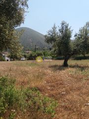 Οικόπεδο 1.500 τ.μ. για πώληση, Αχαΐα, Μεσσατίδα-thumb-4