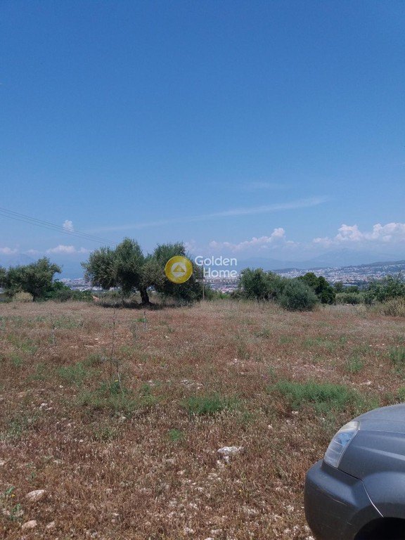 Οικόπεδο 1.500 τ.μ. προς πώληση, Αχαΐα, Μεσσατίδα