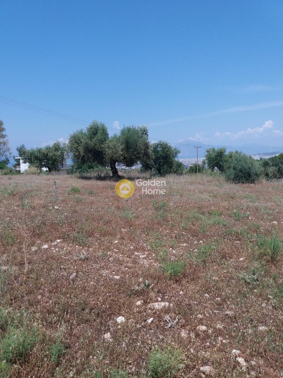 Οικόπεδο 1.500 τ.μ. προς πώληση, Αχαΐα, Μεσσατίδα