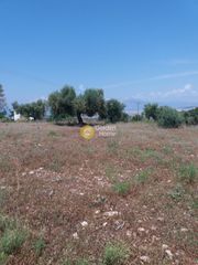 Οικόπεδο 1.500 τ.μ. για πώληση, Αχαΐα, Μεσσατίδα-thumb-3