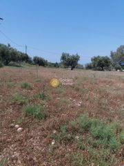 Οικόπεδο 1.500 τ.μ. για πώληση, Αχαΐα, Μεσσατίδα-thumb-5