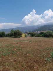 Οικόπεδο 1.500 τ.μ. για πώληση, Αχαΐα, Μεσσατίδα-thumb-7