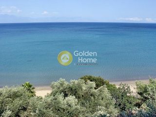Οικόπεδο 7.500 τ.μ. πρός πώληση, Μεσσηνία, Πεταλίδι-thumb-2