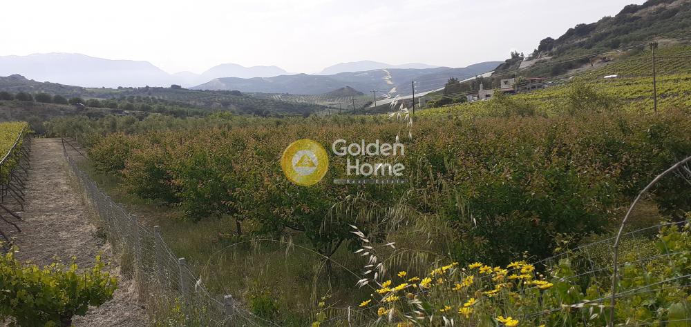 Αγροτεμάχια 2.100 τ.μ. προς πώληση, Κέντρο Τεμένους