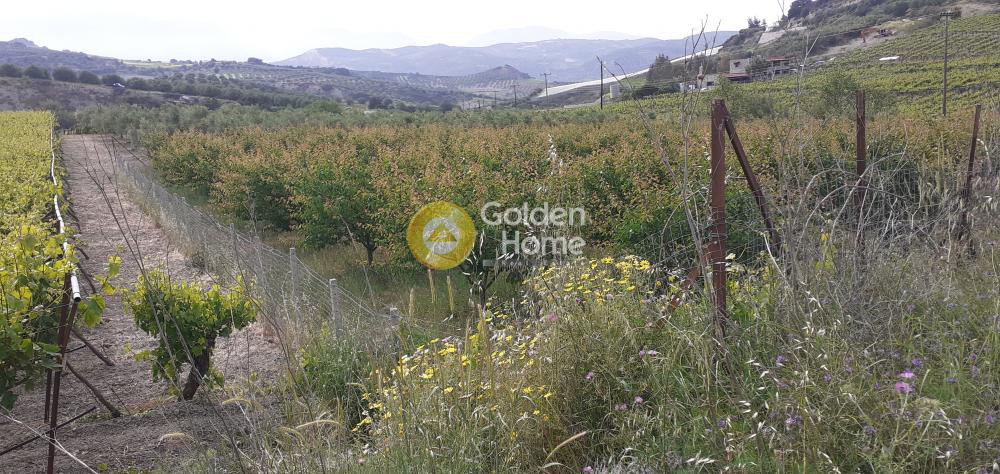 Αγροτεμάχια 2.100 τ.μ. προς πώληση, Κέντρο Τεμένους