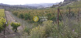 Αγροτεμάχια 2.100 τ.μ. για πώληση